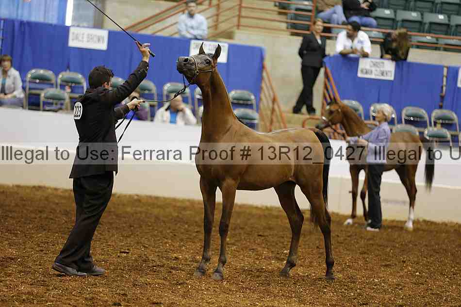 Proof 13r12_0427