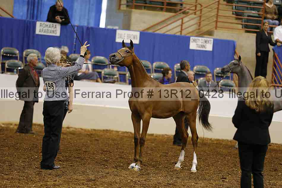 Proof 13r12_0428