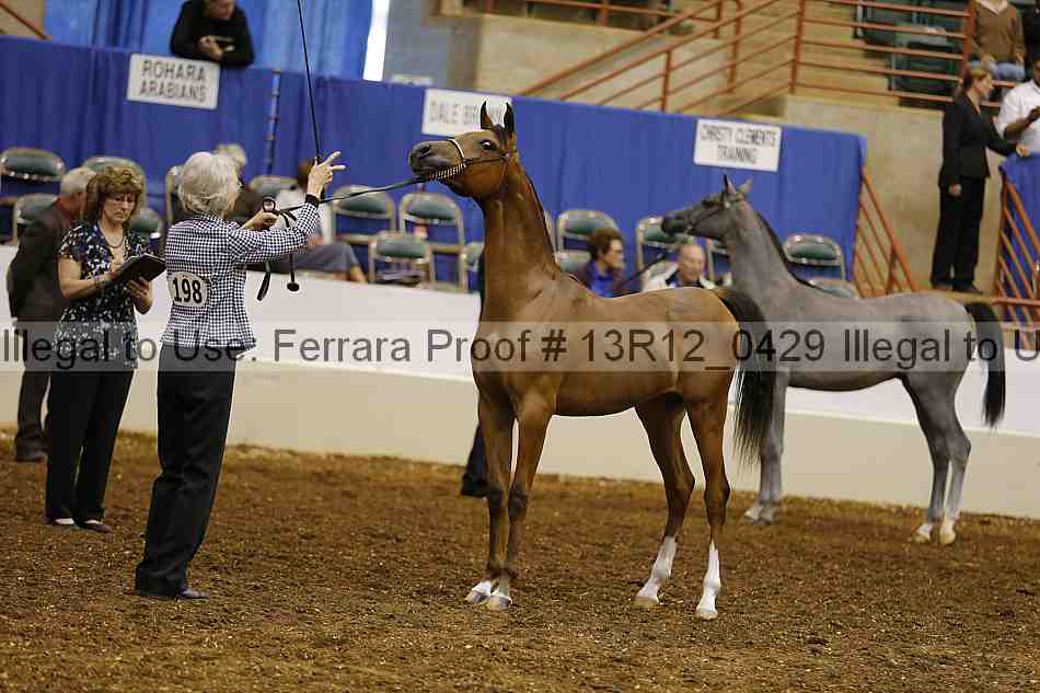 Proof 13r12_0429