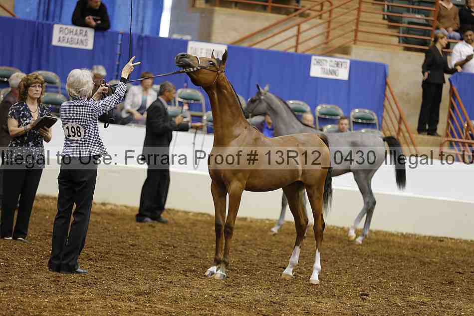 Proof 13r12_0430