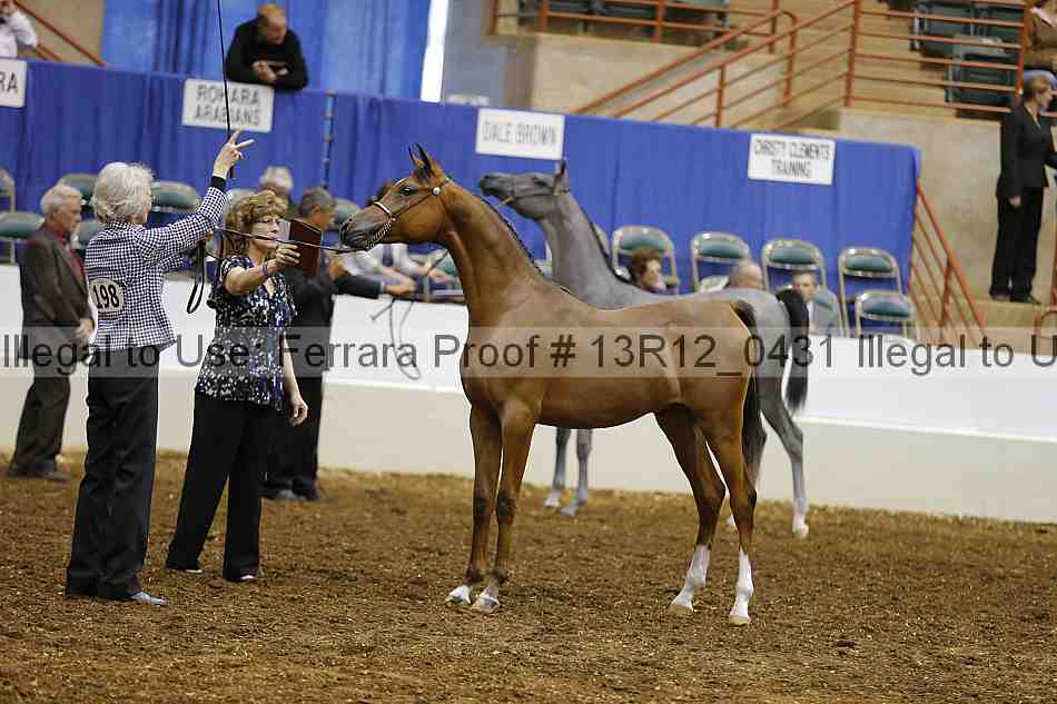 Proof 13r12_0431