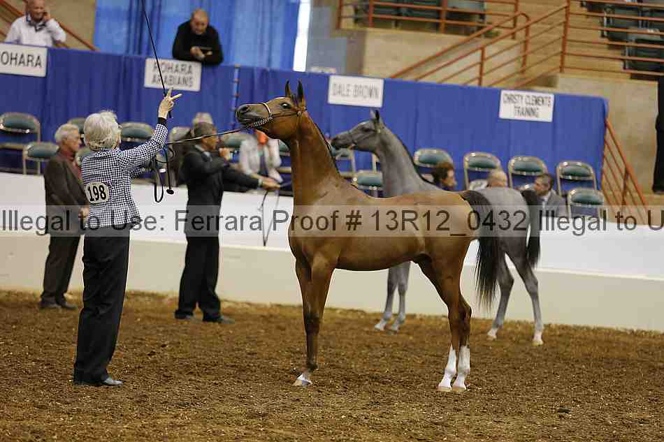 Proof 13r12_0432