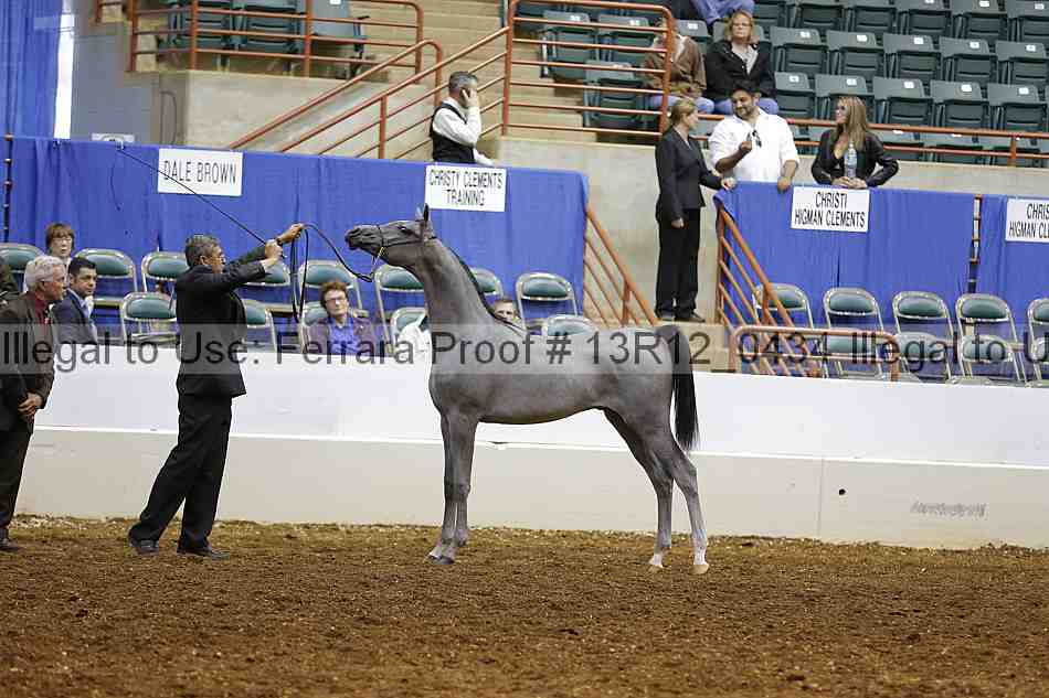 Proof 13r12_0434