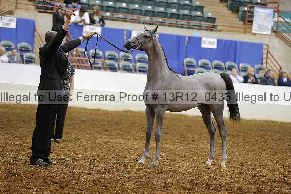 Proof 13r12_0436