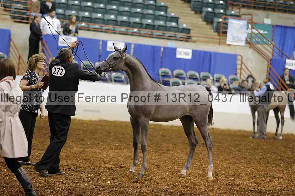 Proof 13r12_0437