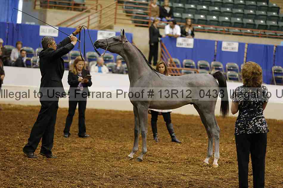 Proof 13r12_0438