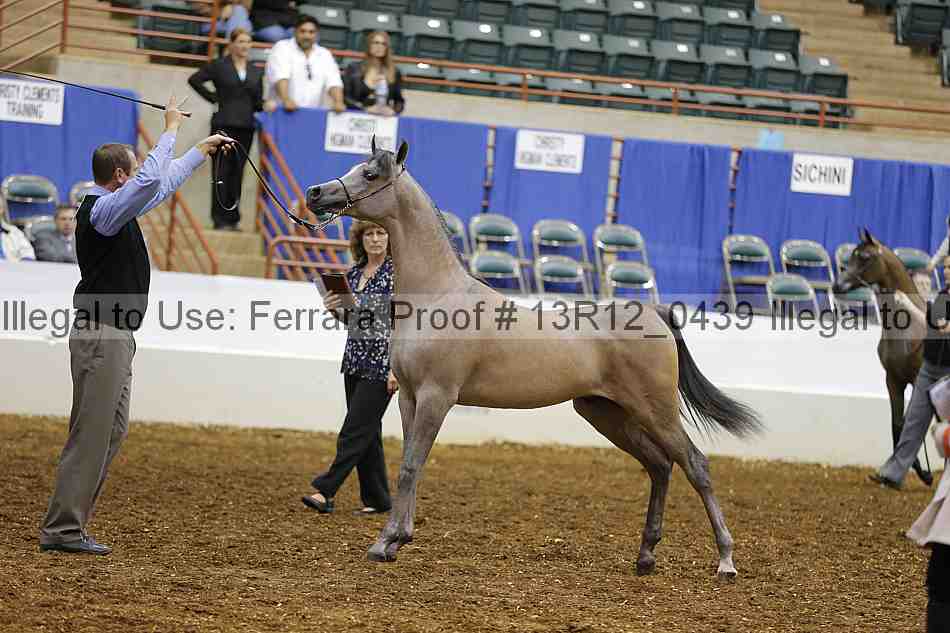 Proof 13r12_0439