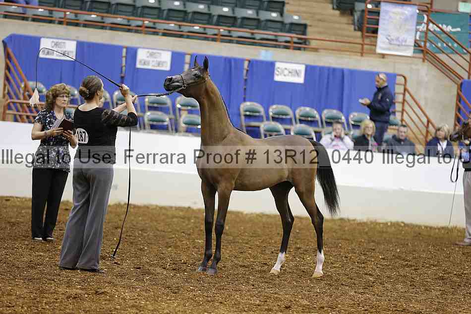 Proof 13r12_0440