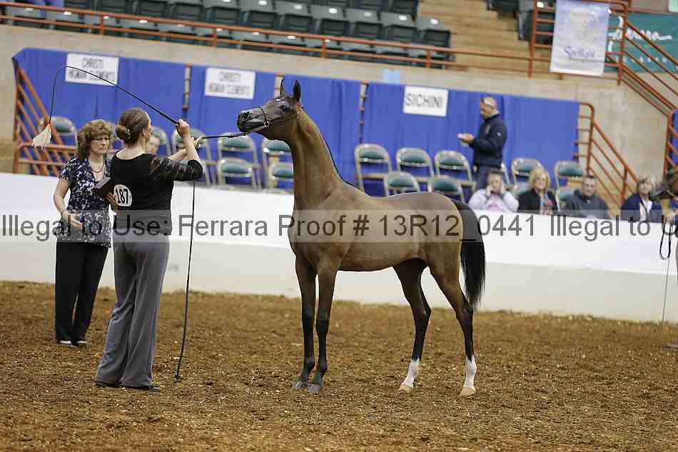 Proof 13r12_0441