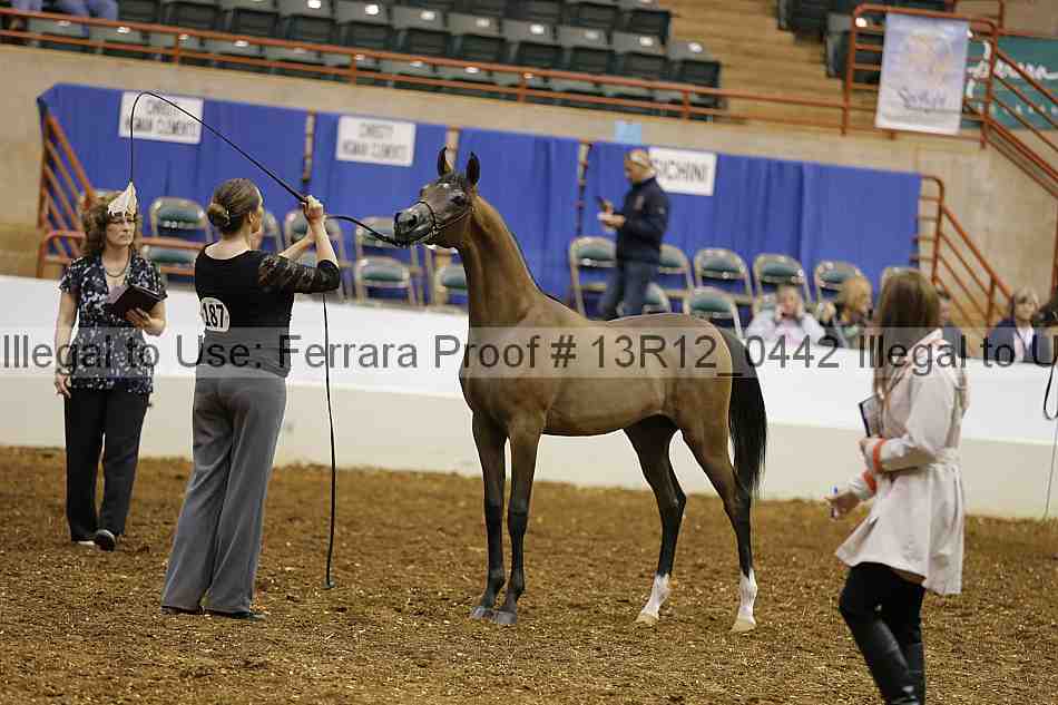 Proof 13r12_0442