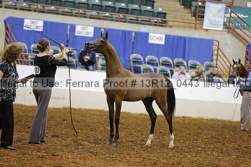 Proof 13r12_0443