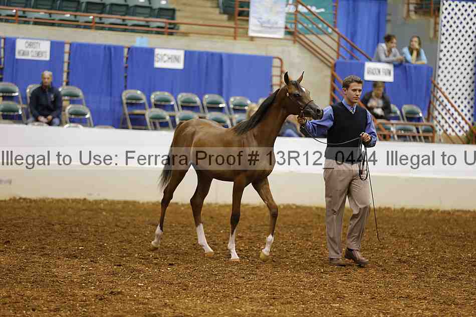 Proof 13r12_0444