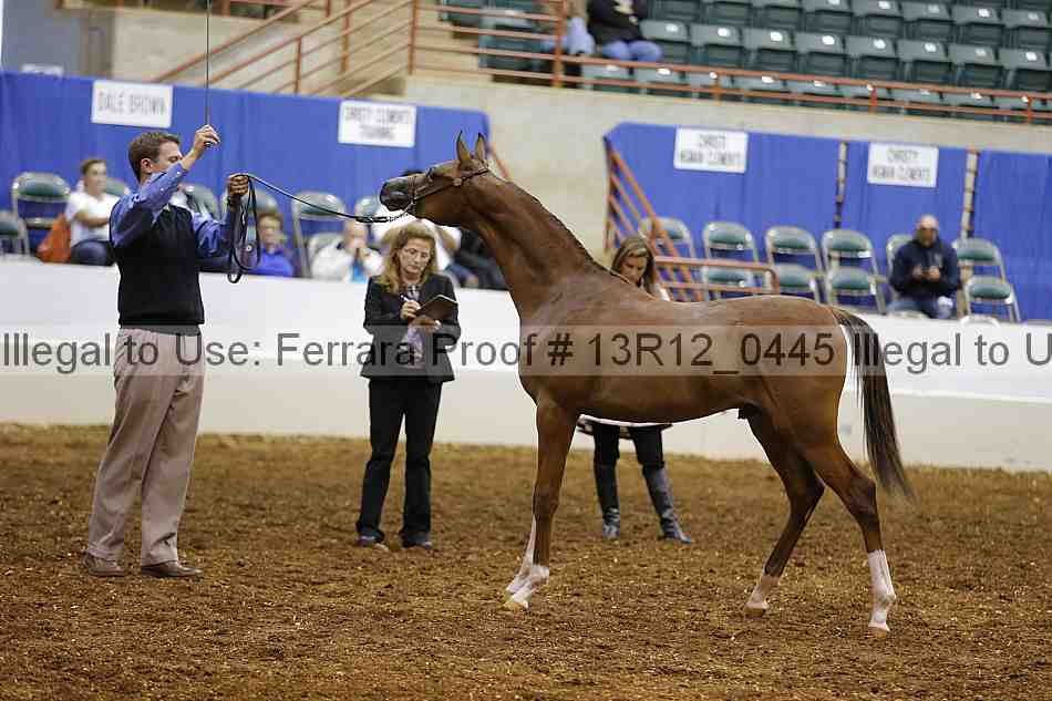 Proof 13r12_0445