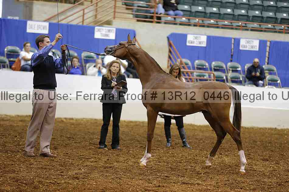 Proof 13r12_0446