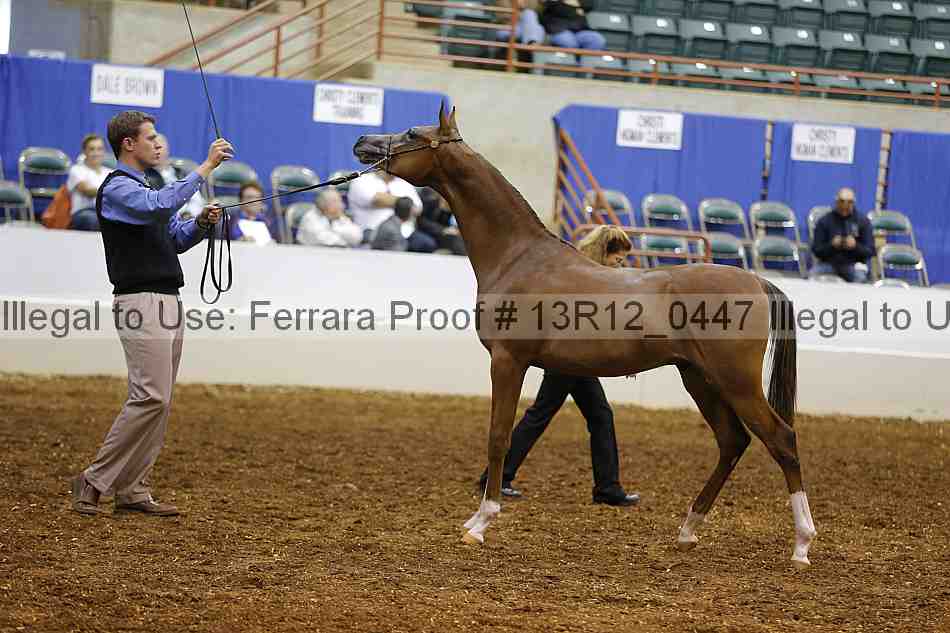 Proof 13r12_0447
