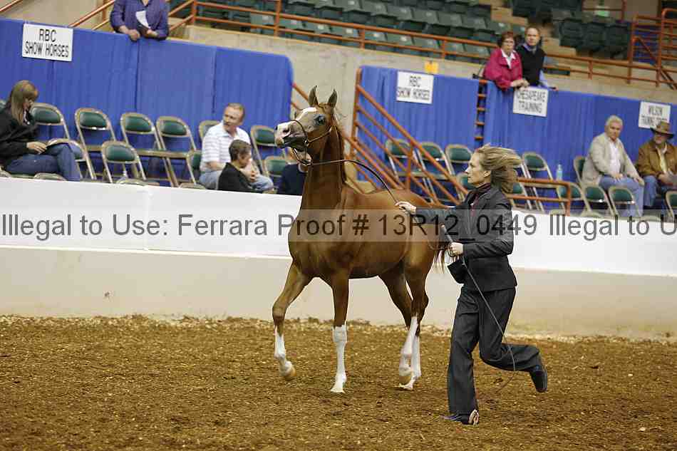 Proof 13r12_0449