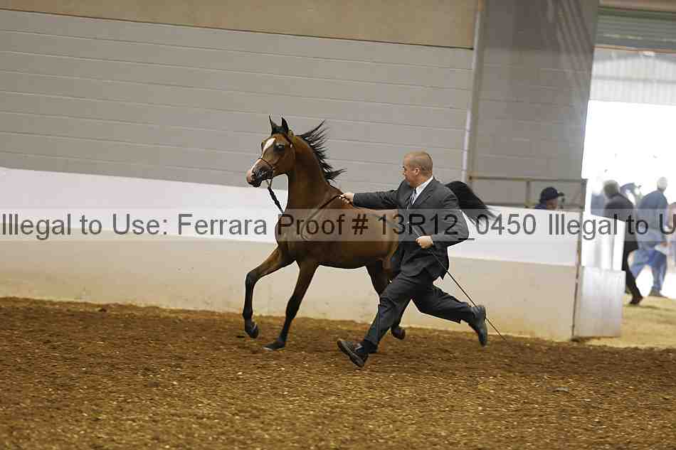 Proof 13r12_0450