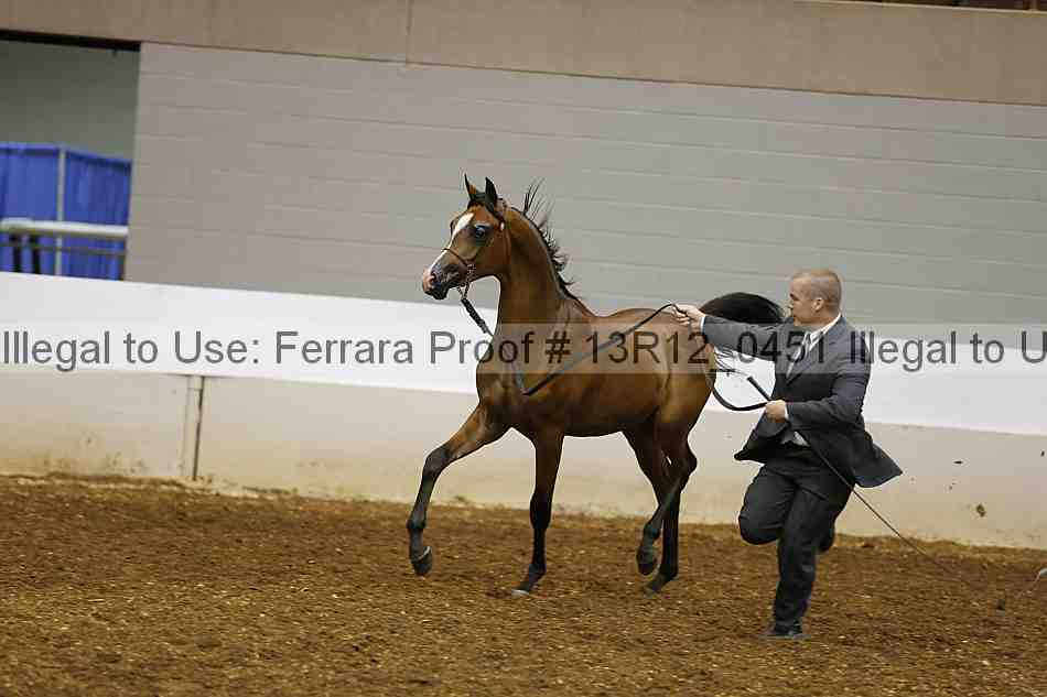 Proof 13r12_0451
