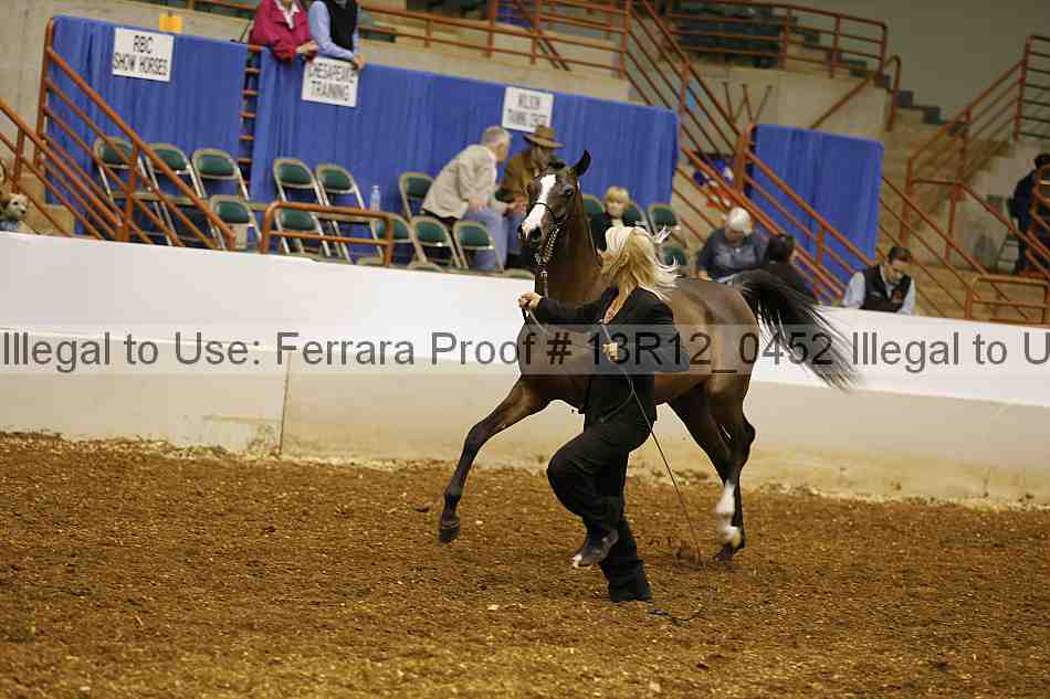 Proof 13r12_0452