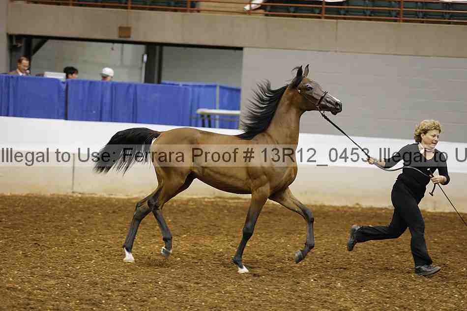 Proof 13r12_0453