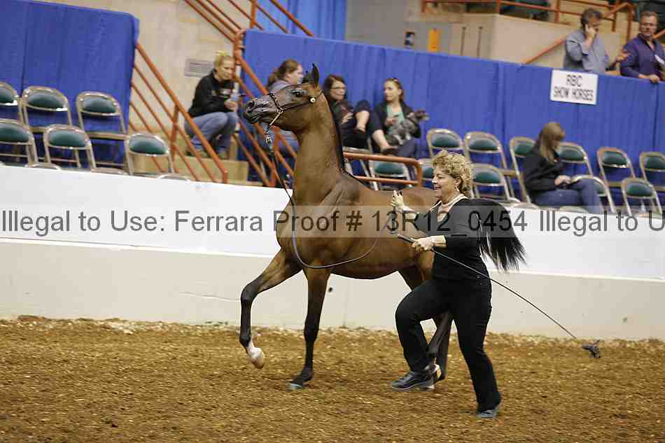 Proof 13r12_0454