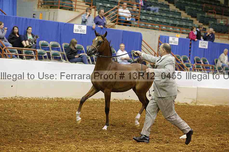 Proof 13r12_0455