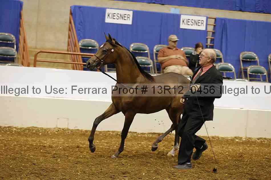 Proof 13r12_0456