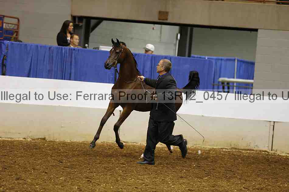 Proof 13r12_0457