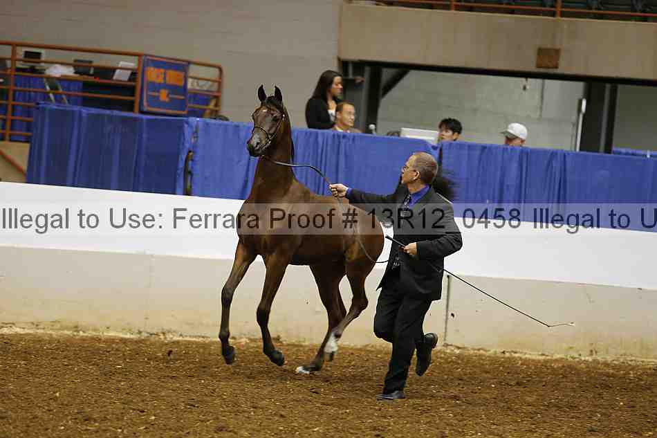 Proof 13r12_0458