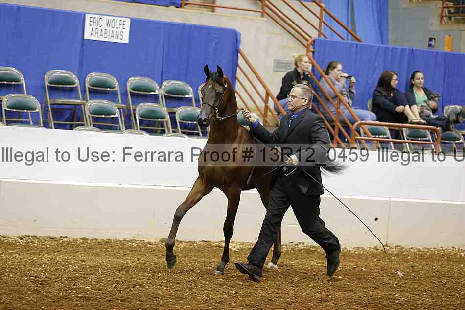 Proof 13r12_0459