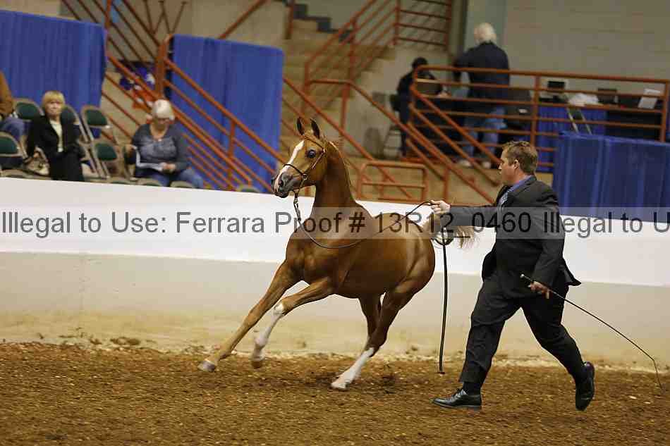 Proof 13r12_0460