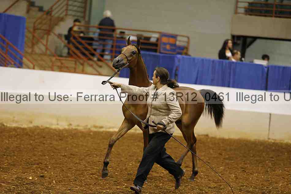 Proof 13r12_0461