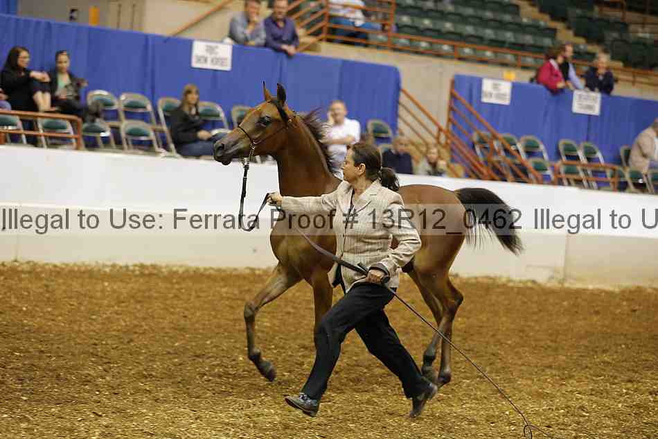 Proof 13r12_0462