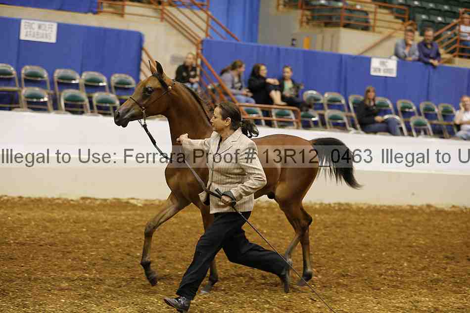 Proof 13r12_0463