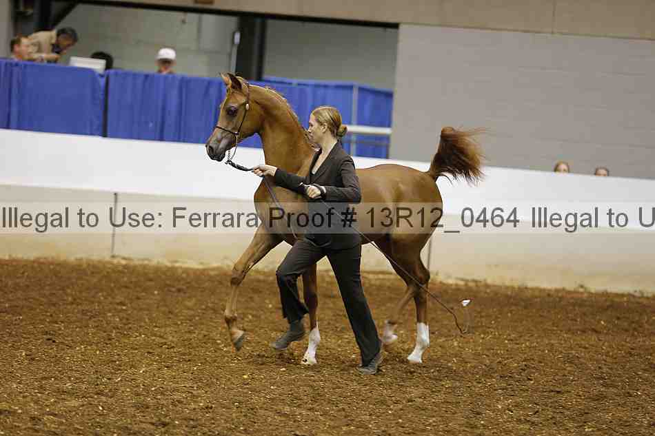 Proof 13r12_0464