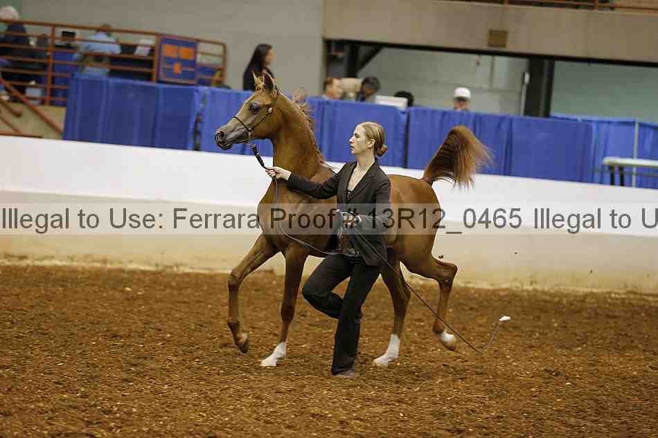 Proof 13r12_0465