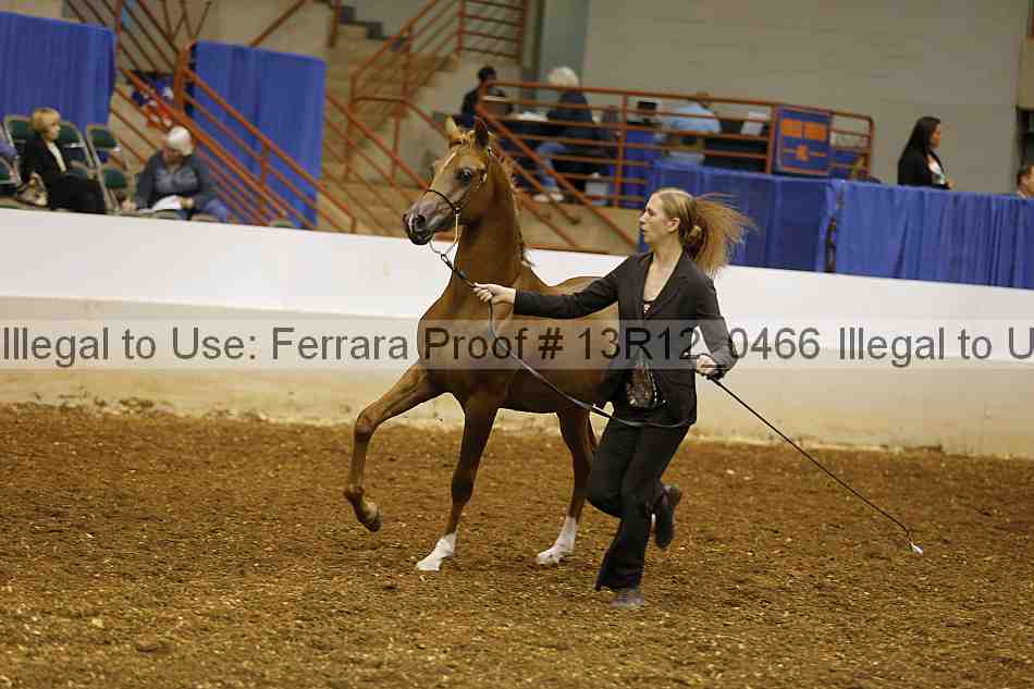 Proof 13r12_0466