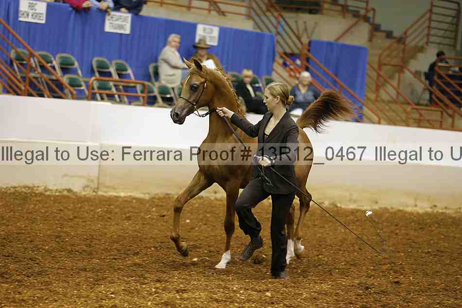 Proof 13r12_0467