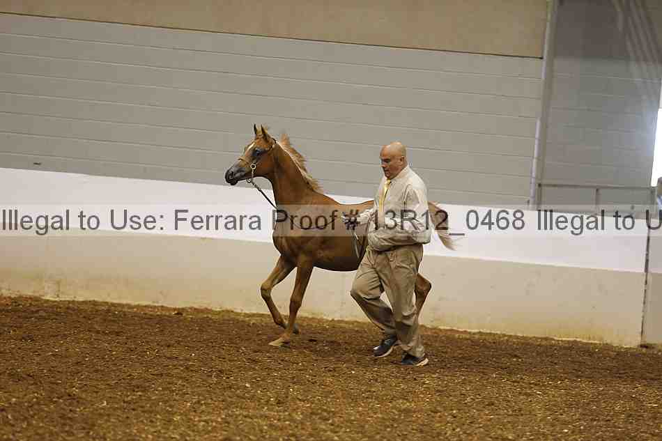 Proof 13r12_0468