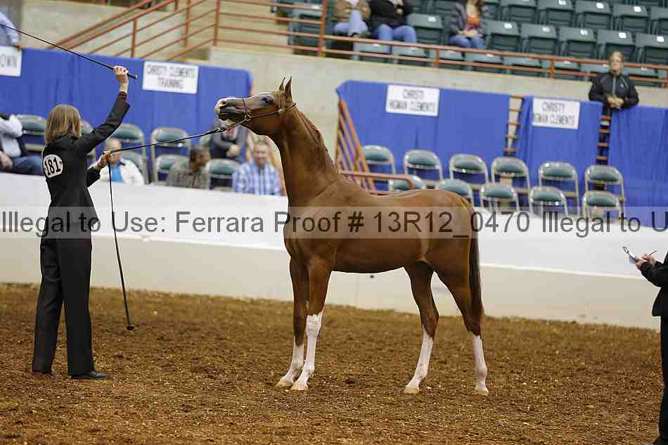 Proof 13r12_0470