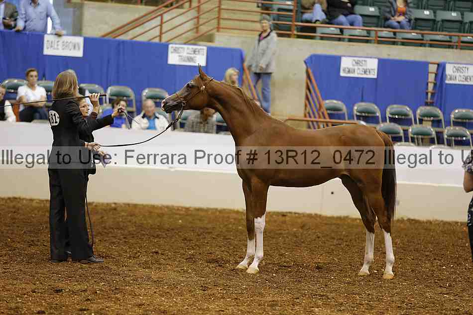 Proof 13r12_0472