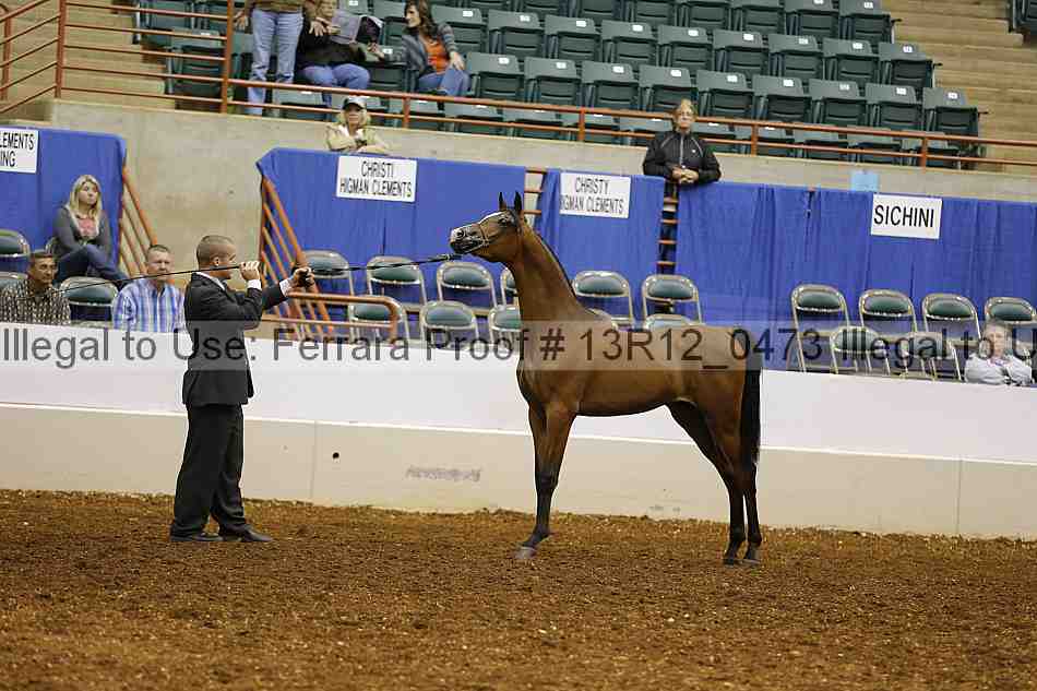 Proof 13r12_0473