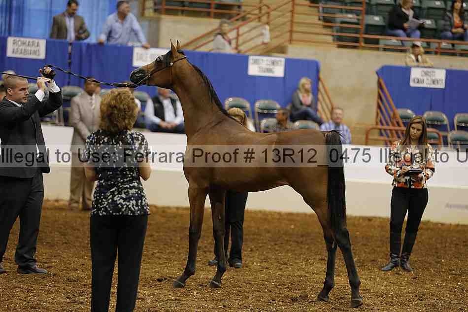 Proof 13r12_0475