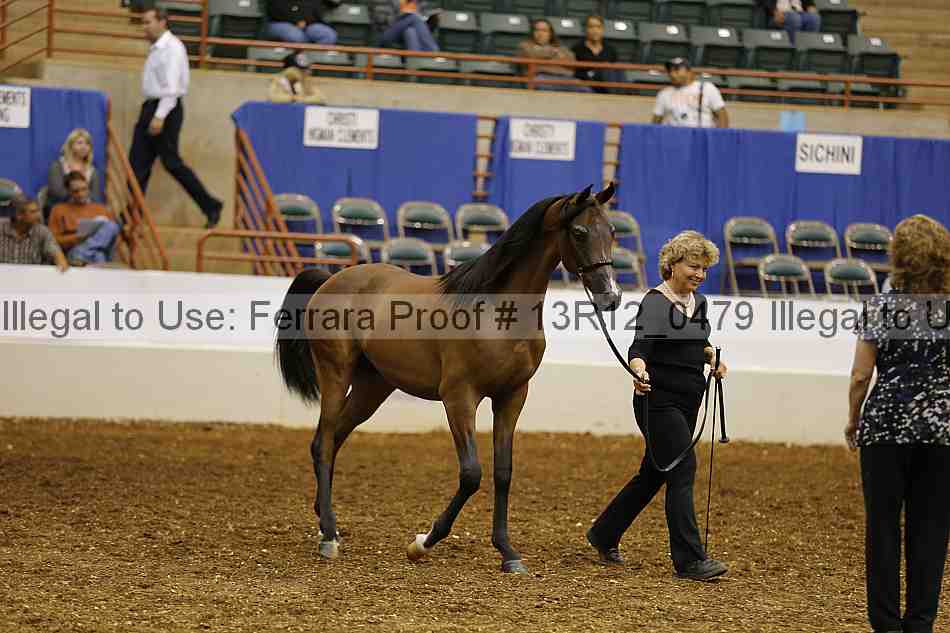 Proof 13r12_0479
