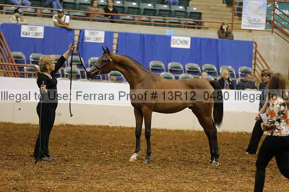 Proof 13r12_0480