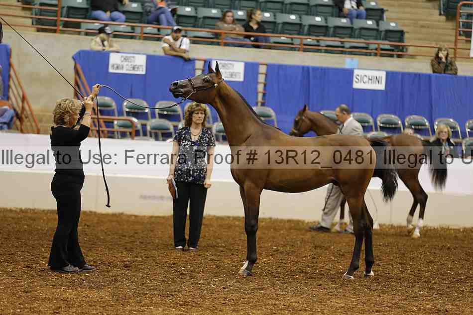 Proof 13r12_0481