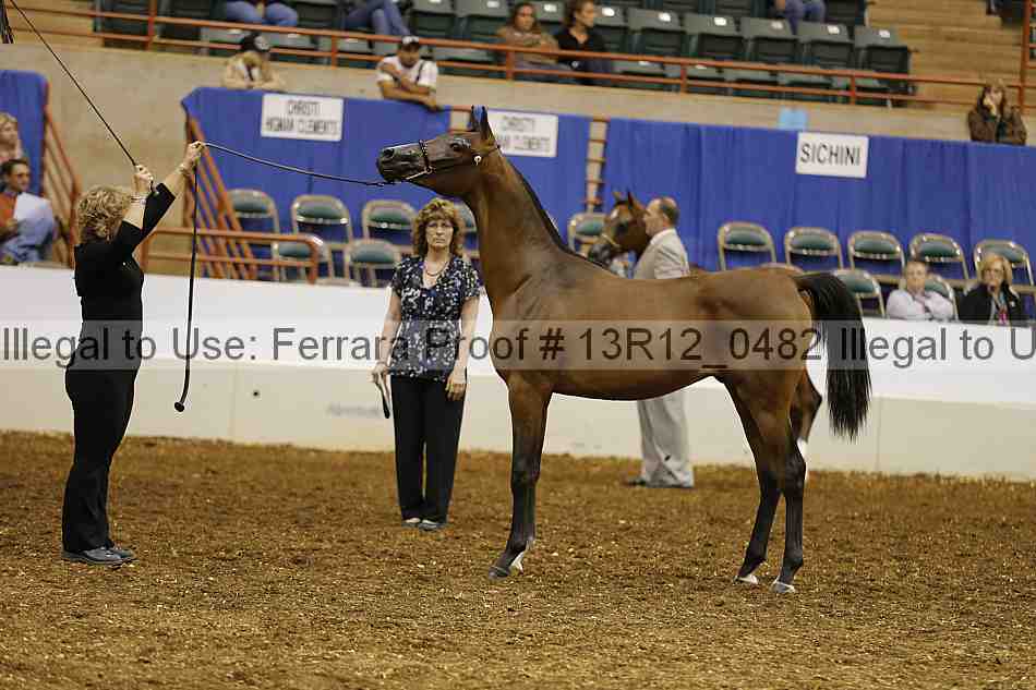 Proof 13r12_0482