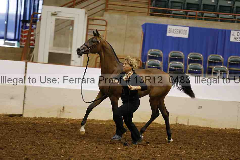 Proof 13r12_0483