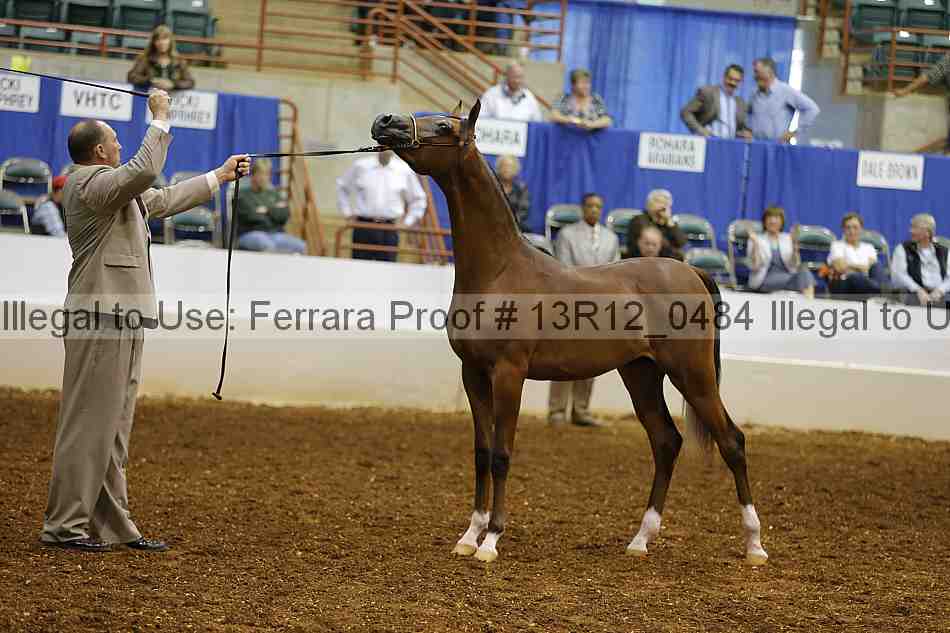 Proof 13r12_0484
