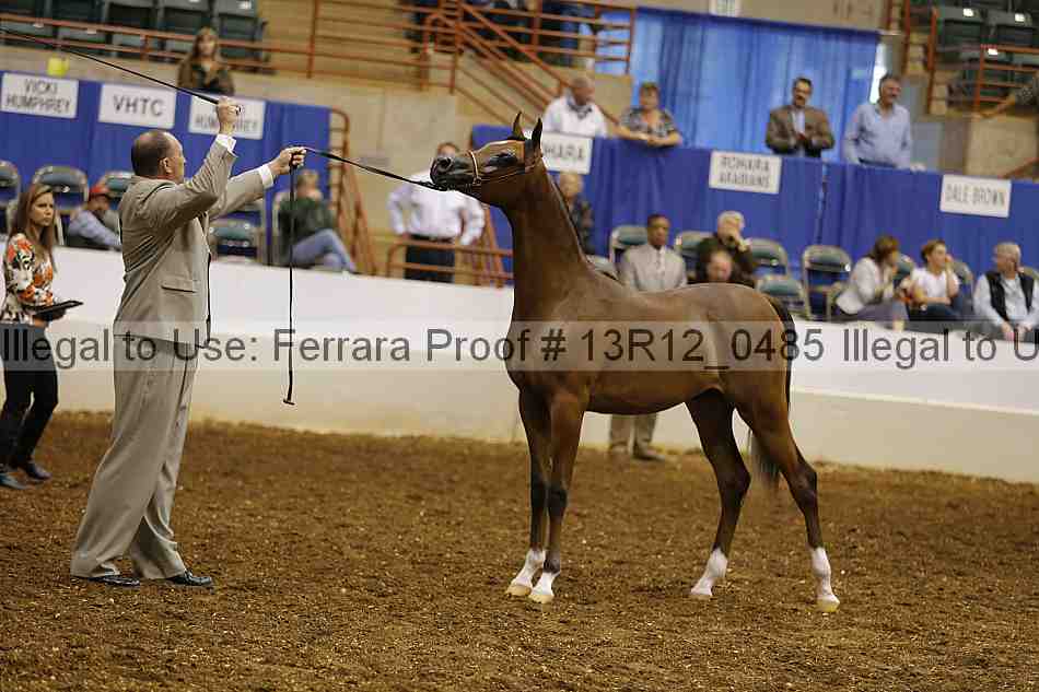 Proof 13r12_0485